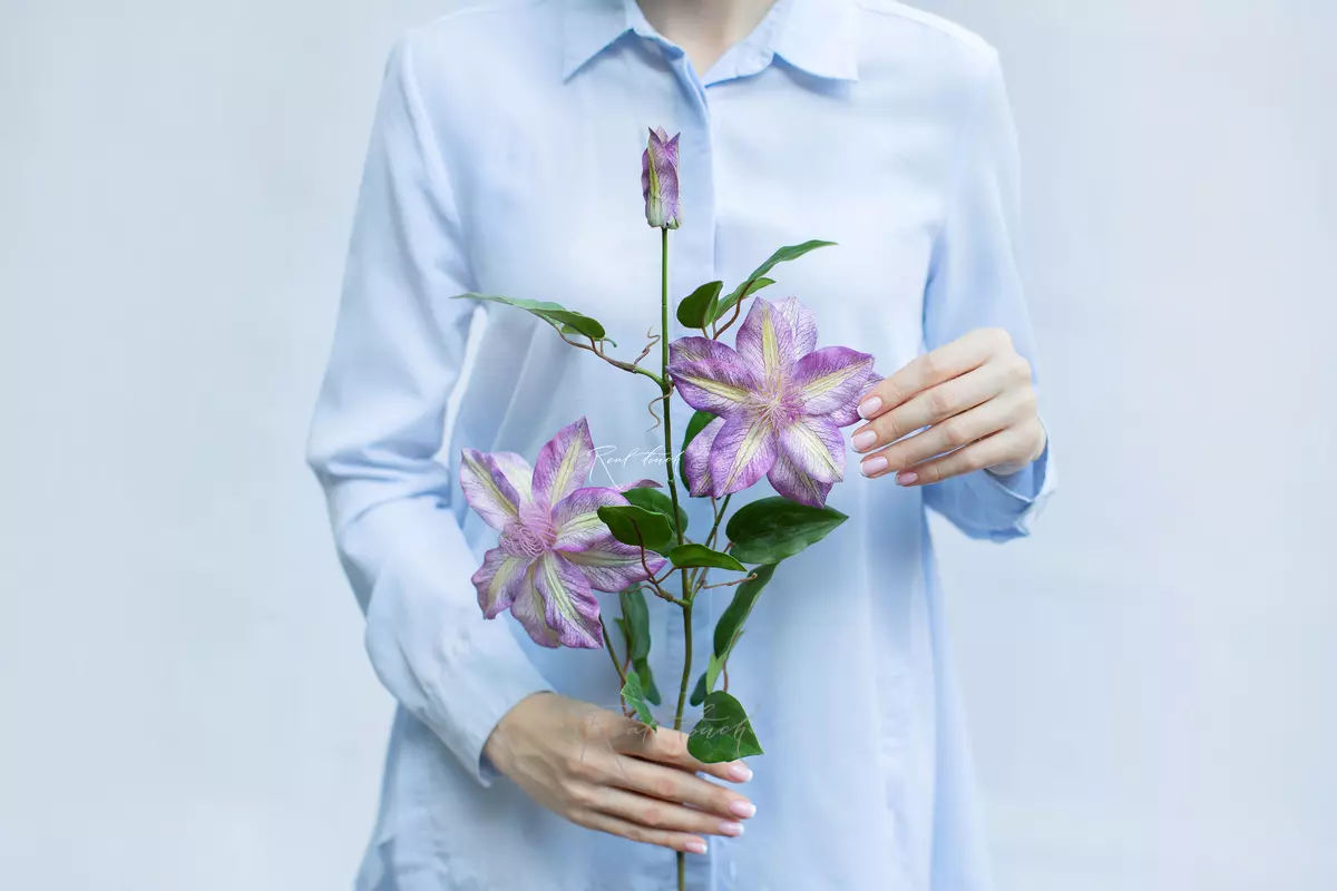 Клематис - Фиолетовый Клематис - Фиолетовый