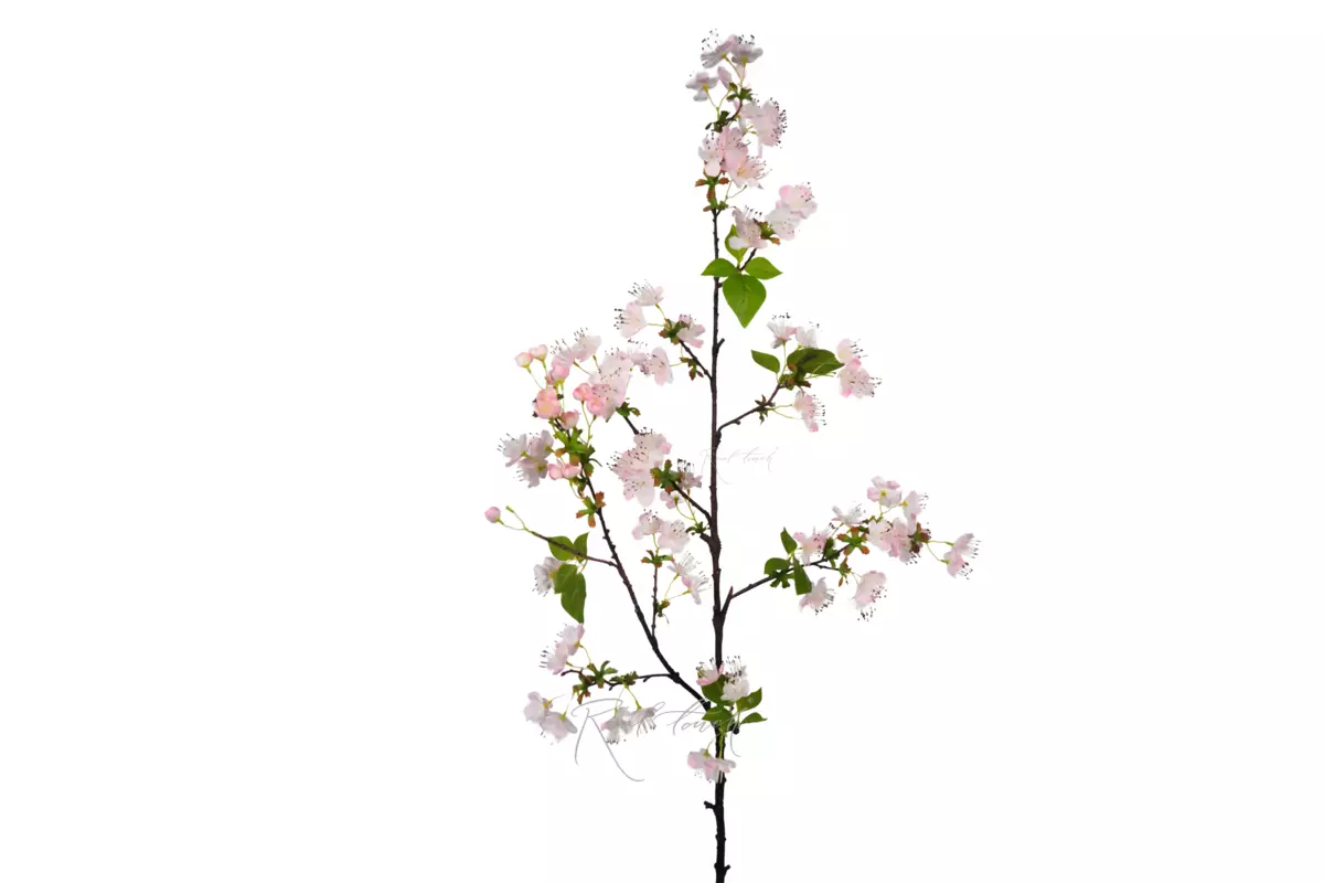 Ветка цветущей груши - Светло-розовый Ветка цветущей груши - Светло-розовый