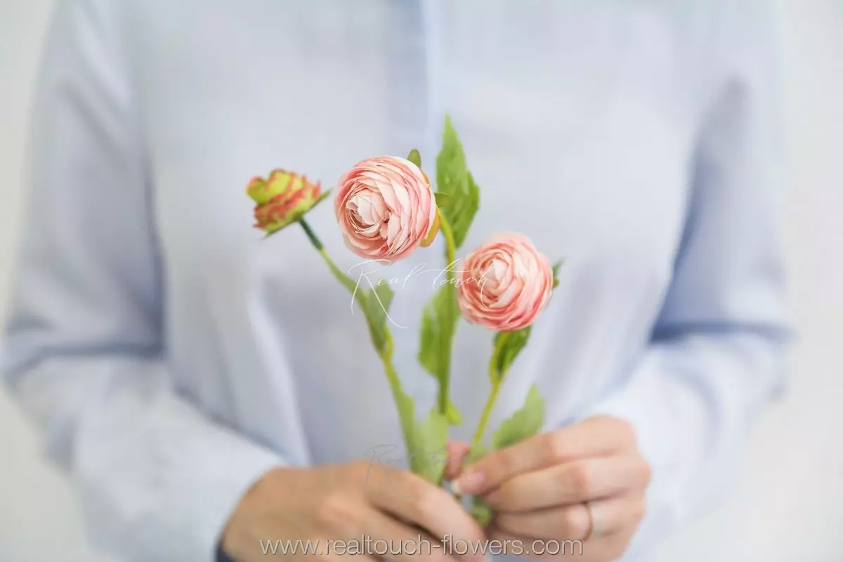 Ранункулюс 2+1 new - Розовый