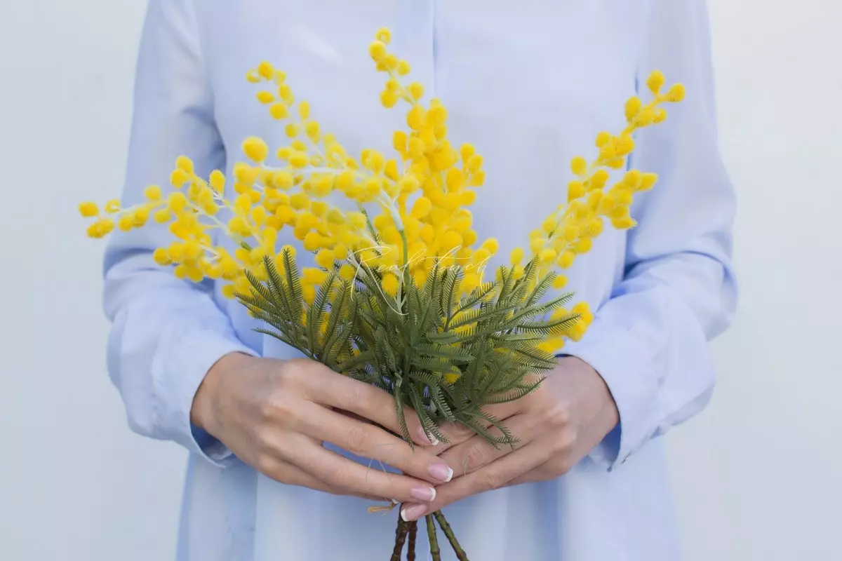 Мимоза пучок из 5 шт - Желтый