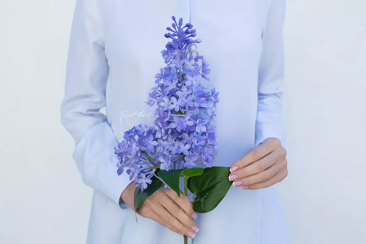 Сирень (2 ветки) - Фиолетовый Сирень (2 ветки) - Фиолетовый