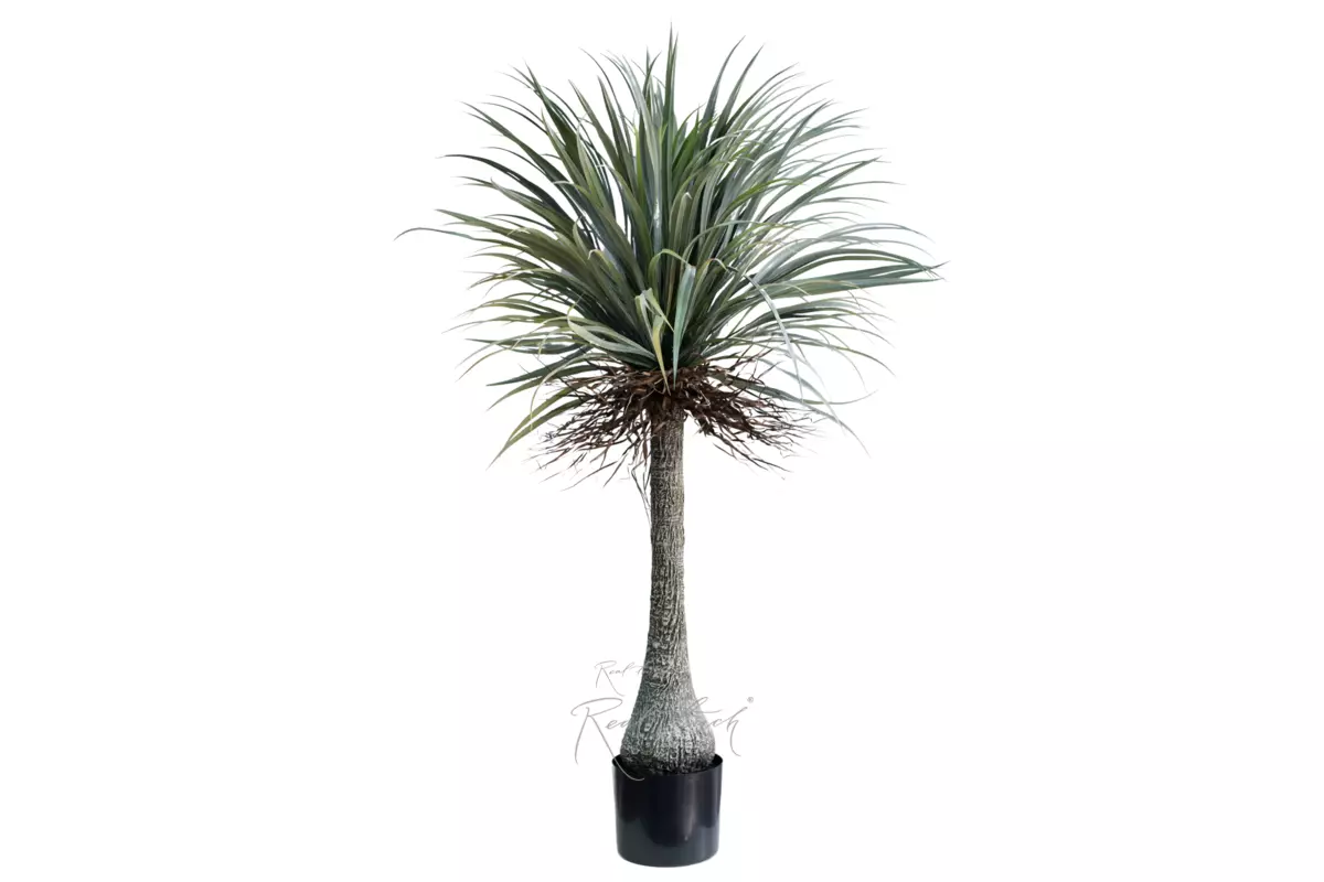 Нолина в кашпо 165см - Зеленый Нолина в кашпо 165см - Зеленый