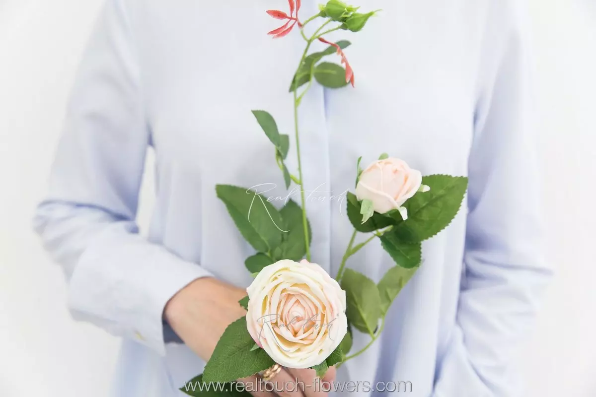 Роза Пионовидная 1+1 - Молочно-розовый