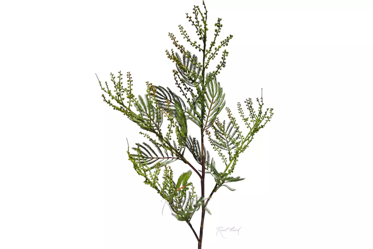 Мимоза 87 см - Зеленый