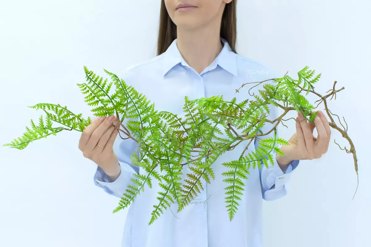 Даваллия на одревесневшем стебле - Зеленый