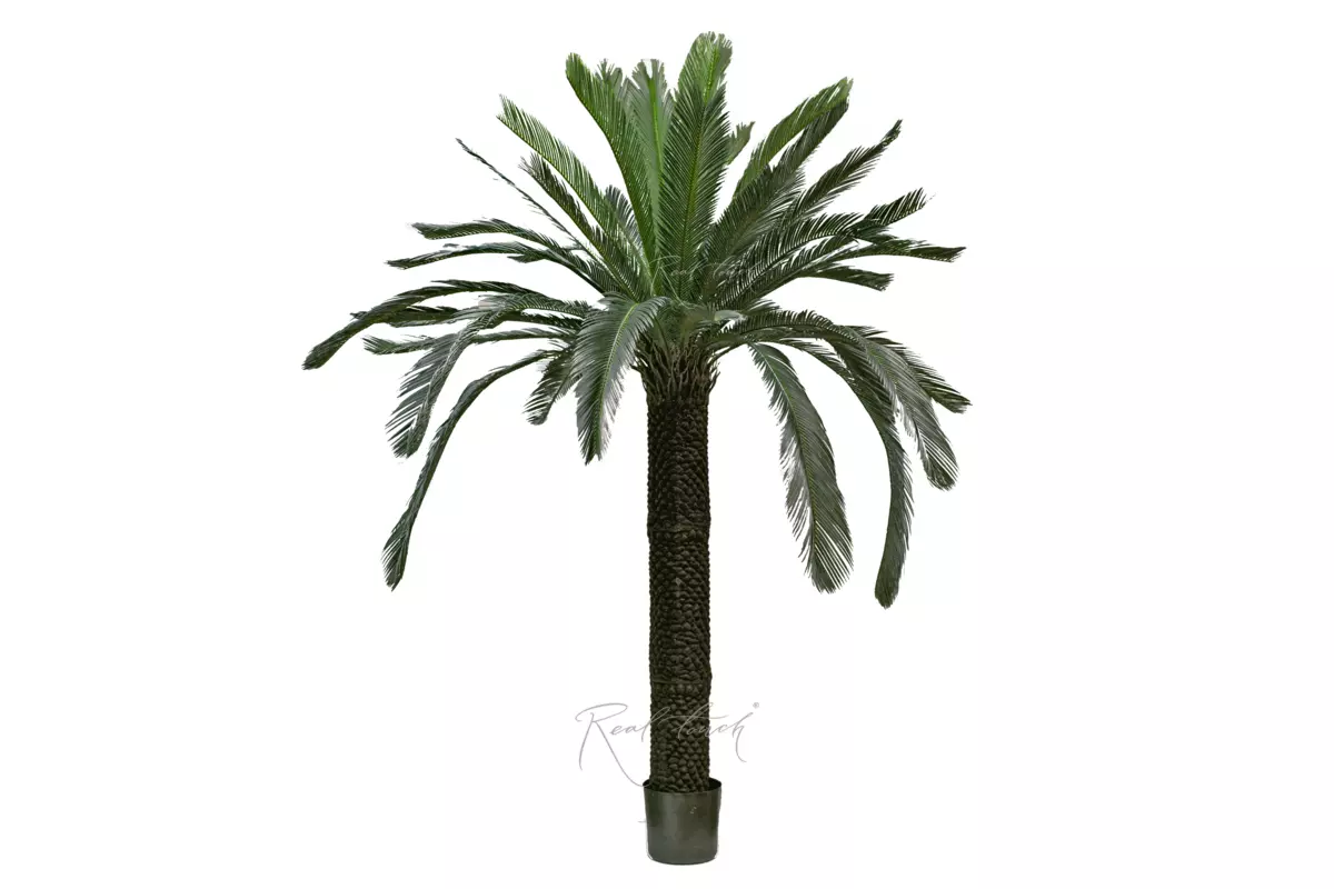 Пальма Цикас 210см - Зеленый Пальма Цикас 210см - Зеленый