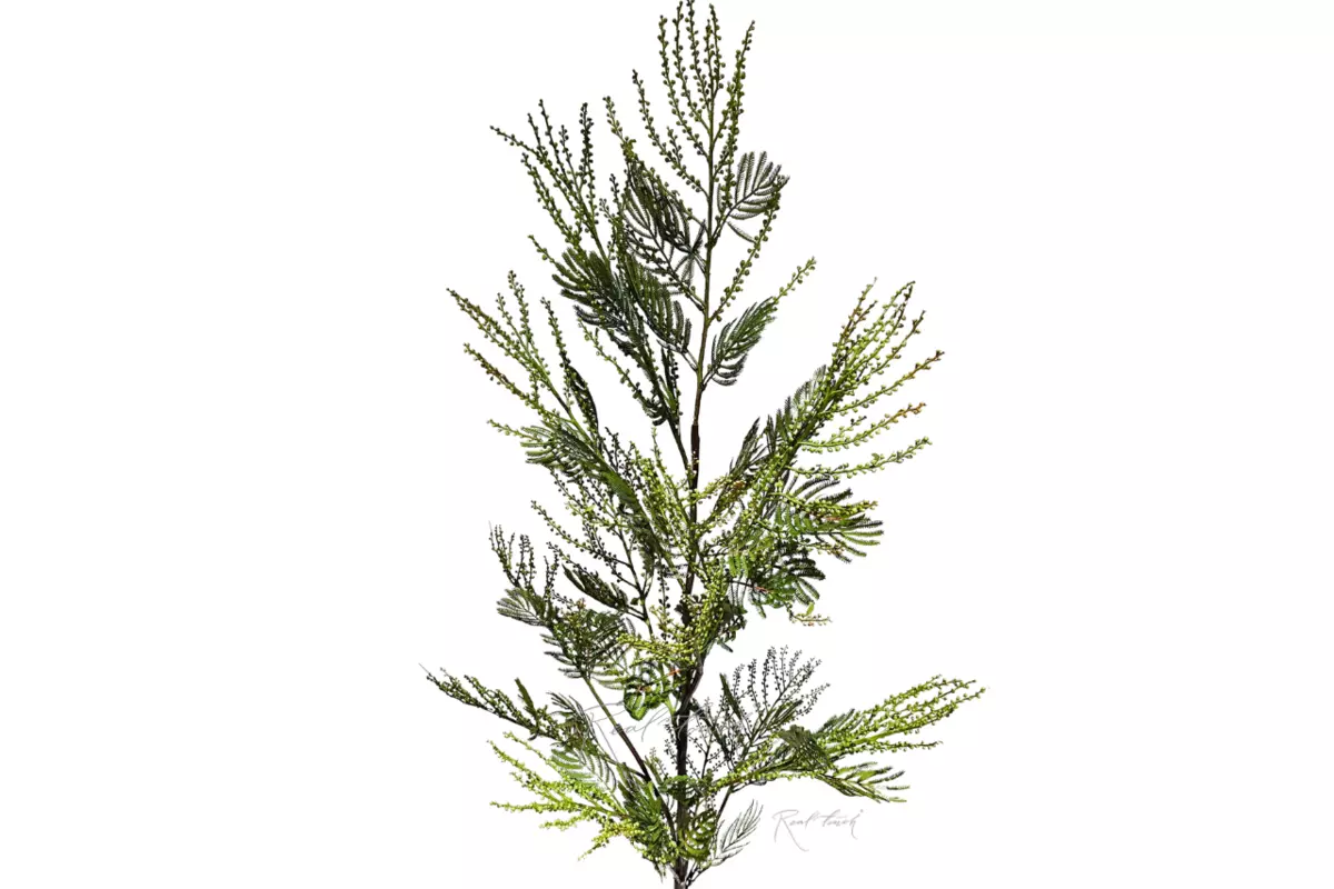 Мимоза 154 см - Зеленый