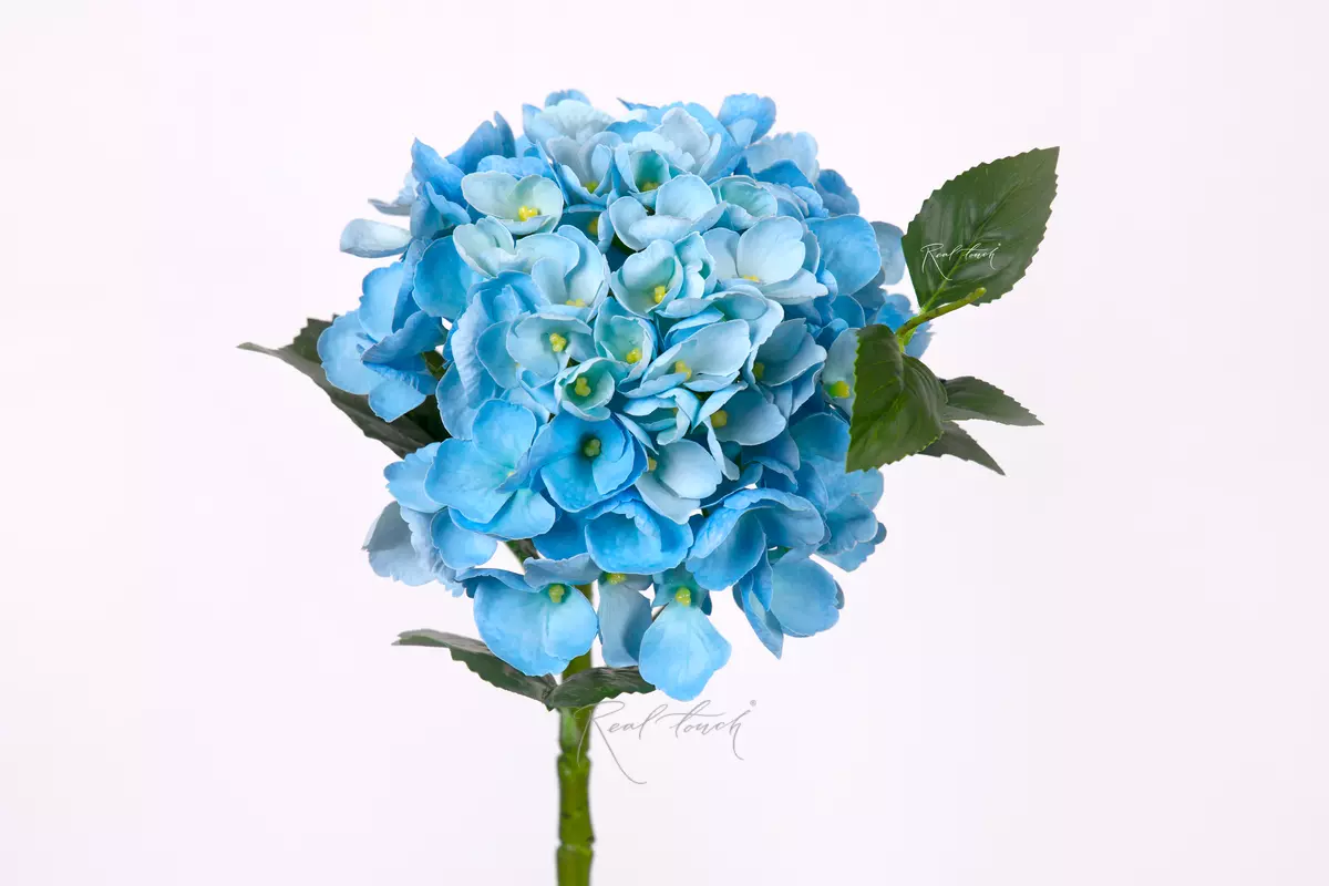 Гортензия крупнолистная small на стебле - Голубой