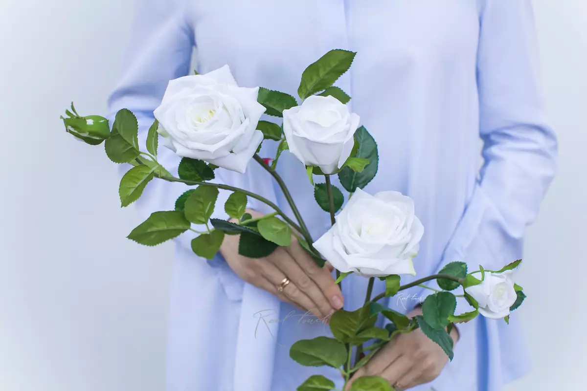 Роза Открытая 3+2 - Белый